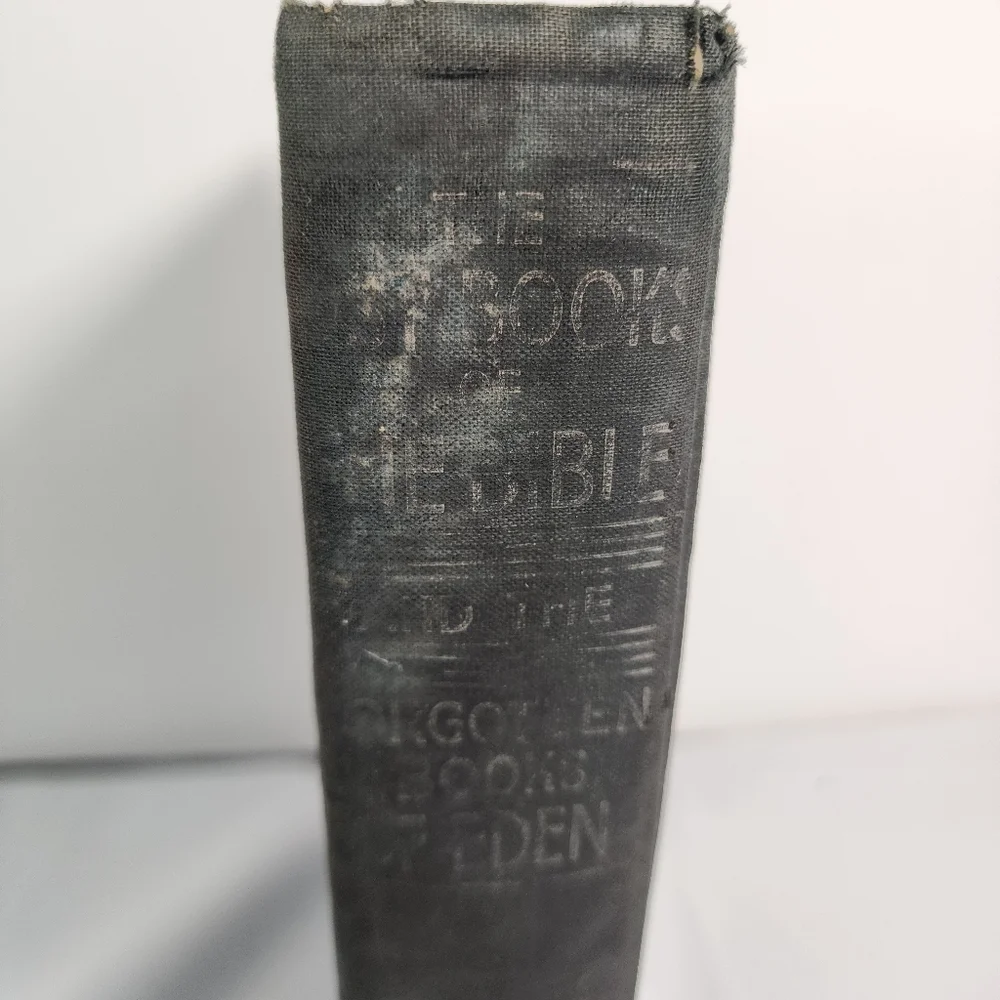 Vintage 1946 Lost Books of the Bible Ninth Printing September 1946